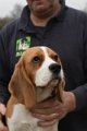 Afb_20170219_charlie (6)
